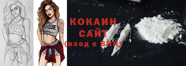 винт Козельск
