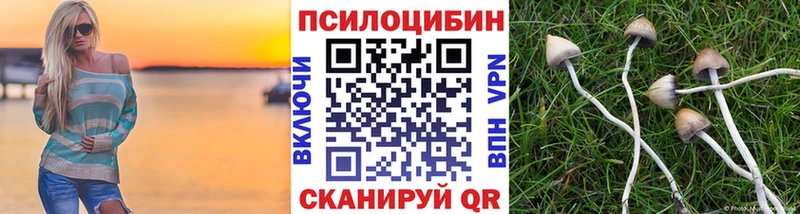 Галлюциногенные грибы Cubensis купить наркотики цена Клин